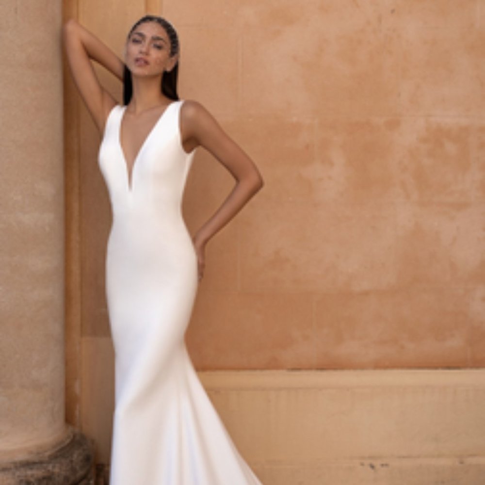 In search of: Pronovias Eureka wedding dress